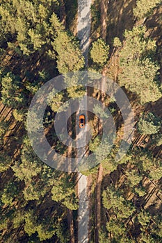 Aerial view of green forest and orange car on the road. Forest road going through forest with car adventure view from above