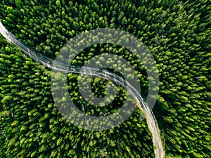 Aerial view of green forest road. Curved road from above photo