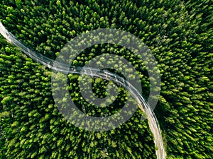 Aerial view of green forest road. Curved road from above