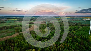 Aerial view of green forest from top. drone photography