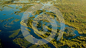 Aerial View Green Forest Woods And Curved River Landscape In Spring Day. Drone Flight View. Bird's Eye View