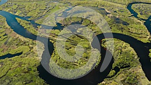 Aerial View Green Forest Woods And Curved River Landscape In Sunny Spring Day. Top View Of Rivers Nature From