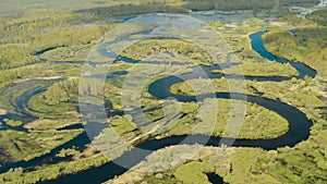 Aerial View Green Forest Woods And Curved River Landscape In Sunny Spring Day. Top View Of Rivers Nature From