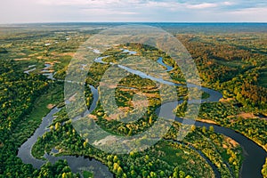 Aerial View Green Forest Woods And River Landscape In Sunny Spring Evening. Top View Of Beautiful European Nature From