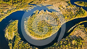 Aerial View Green Forest Woods And River Landscape In Sunny Spring Summer Day. Top View Of Beautiful European Nature