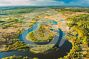 Aerial View Green Forest Woods And River Landscape In Sunny Spring Summer Day. Top View Of Beautiful European Nature