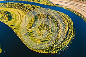 Aerial View Green Forest Woods And River Landscape In Sunny Spring Summer Day. Top View Of Nature.