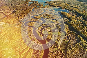 Aerial View Green Forest Woods And River Landscape In Sunny Spring Summer Day. Top View Of Nature, Bird's Eye View