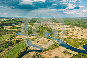 Aerial View Green Forest Woods And River Landscape In Sunny Summer Day. Top View Of Beautiful European Nature From High