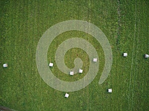 Aerial view of a green grass with bale hays in a rural area in daylight