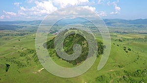 Aerial view of a green hill with pine trees in the middle of a meadow in spring