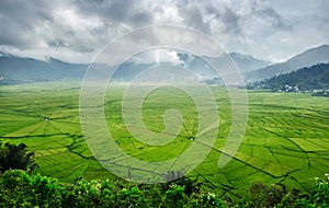 Aerial View of Green Lingko Spider Web Rice Fields with Sunlight Piercing Through Clouds to the Field with Raining. Flores, East N