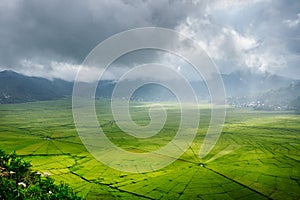 Aerial View of Green Lingko Spider Web Rice Fields with Sunlight Piercing Through Clouds to the Field with Raining. Flores, East N