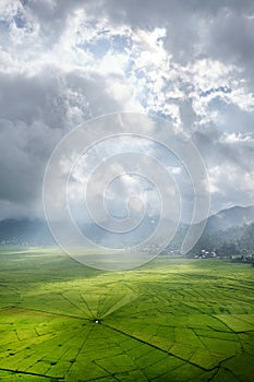 Aerial View of Green Lingko Spider Web Rice Fields with Sunlight Piercing Through Clouds to the Field with Raining. Flores, East N