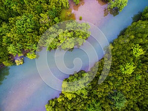 Aerial view of green mangrove forest and red blue river