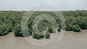 Aerial view of green mangrove forest in tropical rainforest