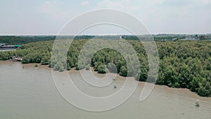 Aerial view of green mangrove forest in tropical rainforest