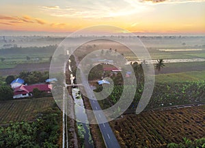 Aerial view of green paddy field village