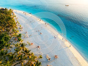 Aerial view of green palm trees, umbrellas, sandy beach, sea