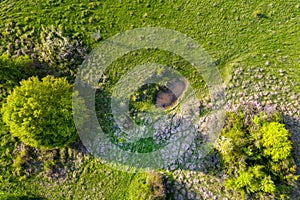 Aerial view of green pasture with small natural drinking ponds for buffalos and farm animals