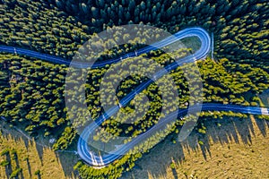 Aerial view of green pine forest and a road