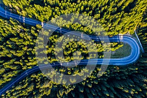 Aerial view of green pine forest and a road