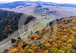 Aerial view, green pine trees , deciduous woods , dirt road in the valley