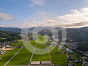 Aerial view of green rice fields and beautiful small town on summer morning