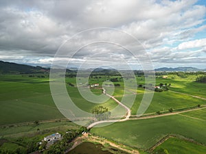 Aerial view of green rice fields farming cultivation in agricultural countryside with cloudy sky