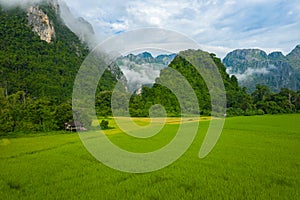 Aerial view of green rice fields and mountains, paddy field at Vang Vieng , Laos. Southeast Asia. Photo made by drone from above.