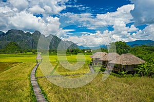 Aerial view of green rice fields and mountains, paddy field at Vang Vieng , Laos. Southeast Asia. Photo made by drone from above.