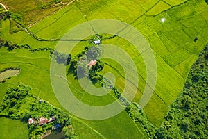 Aerial view of green rice fields and mountains, paddy field at Vang Vieng , Laos. Southeast Asia. Photo made by drone from above.
