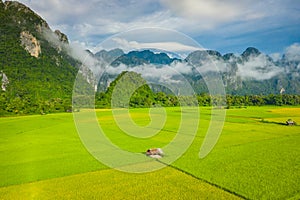 Aerial view of green rice fields and mountains, paddy field at Vang Vieng , Laos. Southeast Asia. Photo made by drone from above.