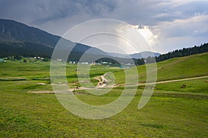 Aerial view of the green rural fields of Gulmarg, Baramulla, Jammu and Kashmir, India