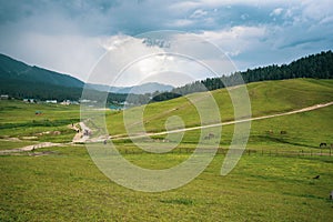 Aerial view of the green rural fields of Gulmarg, Baramulla, Jammu and Kashmir, India