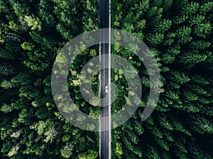 Aerial view green summer forest and asphalt road with car