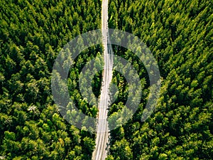 Aerial view of green summer forest road