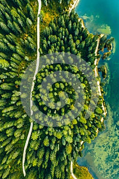 Aerial view of green summer forest with a road