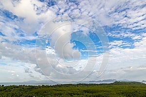 Aerial view of green tree against blue sky