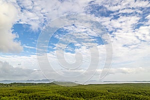 Aerial view of green tree against blue sky