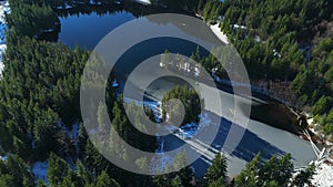 Aerial view of green trees and lake in the mountains.