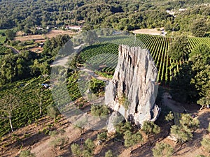 Vista aerea sul verde vigneti montagne più vicino, vino creazione 