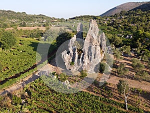 Vista aerea sul verde vigneti montagne più vicino, vino creazione 