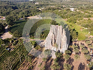 Vista aerea sul verde vigneti montagne più vicino, vino creazione 