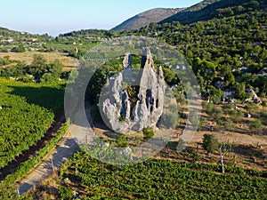 Vista aerea sul verde vigneti montagne più vicino, vino creazione 