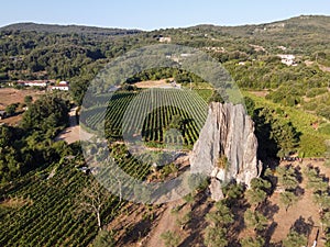 Vista aerea sul verde vigneti montagne più vicino, vino creazione 