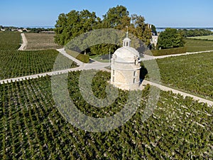 Aerial view on green vineyards, wine domain or chateau in Haut-Medoc red wine making region, Bordeaux, left bank of Gironde