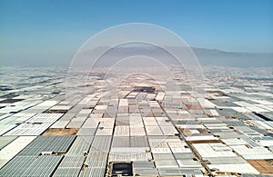 Aerial view greenhouses in the Almerimar, Spain photo