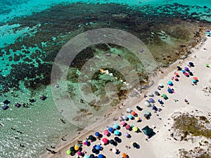 Aerial View of a Group of Kites on Italian Beach in Summer in a Sunny Day on Beach Umbrellas Background