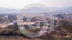 Aerial view at Gyeongju Cherry Fastival,South Korea